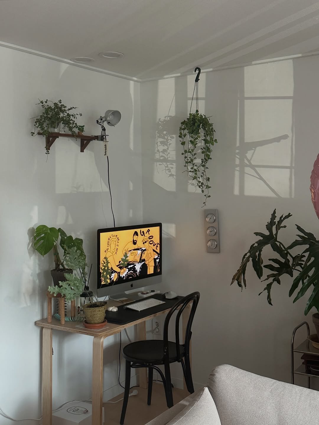 Photo shared by 혜미 ◡̈ on February 12, 2026 tagging @arkofdesign_kr, and @frame__seoul. May be an image of house plant, mistletoe cactus, indoors and text.