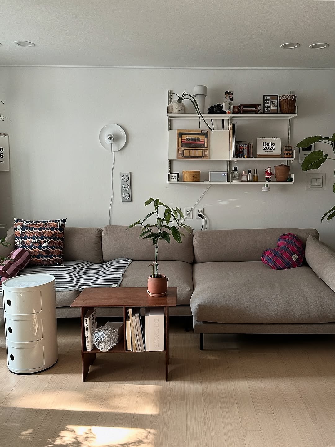 Photo shared by 혜미 ◡̈ on November 11, 2025 tagging @sleepdino_official. May be an image of house plant, sofa, living room, indoors and text.