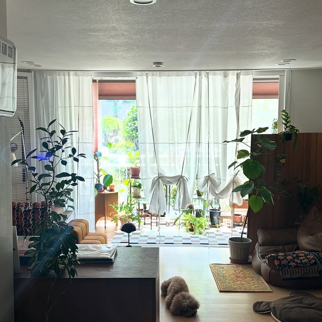 Photo shared by 혜미 ◡̈ on August 06, 2025 tagging @moodi.co.kr. May be an image of indoors and living room.