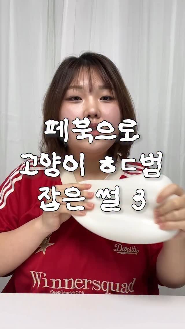 mynameiskisoo 게시물 이미지: 이젠 더 이상 고양이가 아니라…

-

🎥 고양이는 건드리지...
