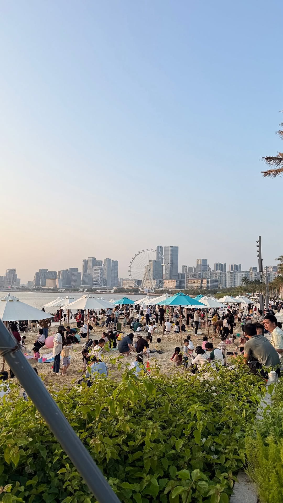 myoudate 게시물 이미지: Highly recommended by our therapist 🛫