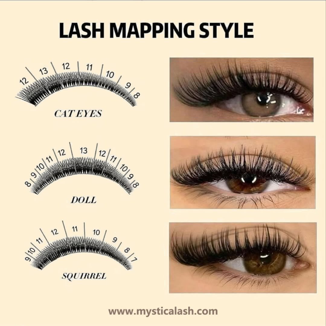mysticalashofficial 게시물 이미지: Today's Lash Map Share💡

#lashmap...