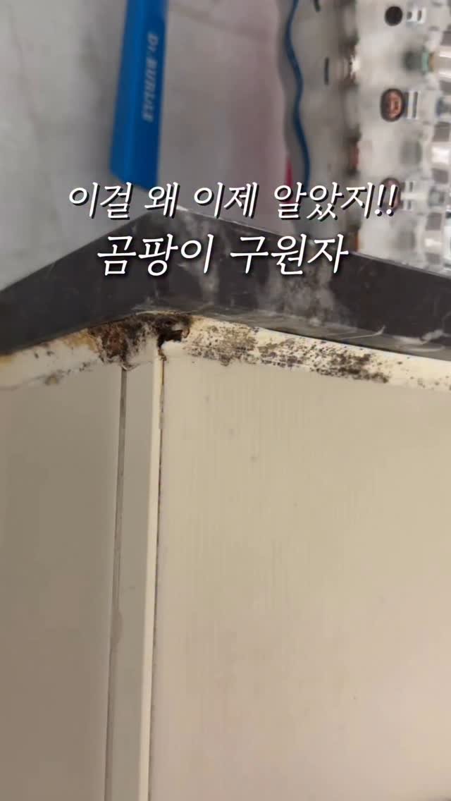 mzjubu 게시물 이미지: 저희 친정 집이 오오~래된 구축 아파트인데
욕실 실리콘에 곰팡이가 진짜 심하게...