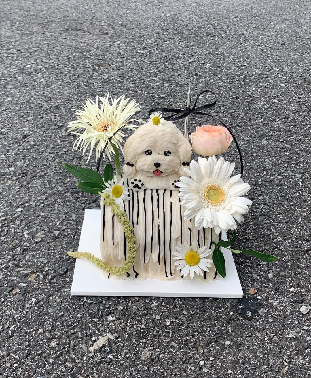 Photo shared by 앤디어 |강아지케이크  | 서울강아지케이크클래스 | 서울강아지케이크 on August 25, 2025 tagging @n.dear_ing. May be an image of flower arrangement, baby's-breath, carnation and text.