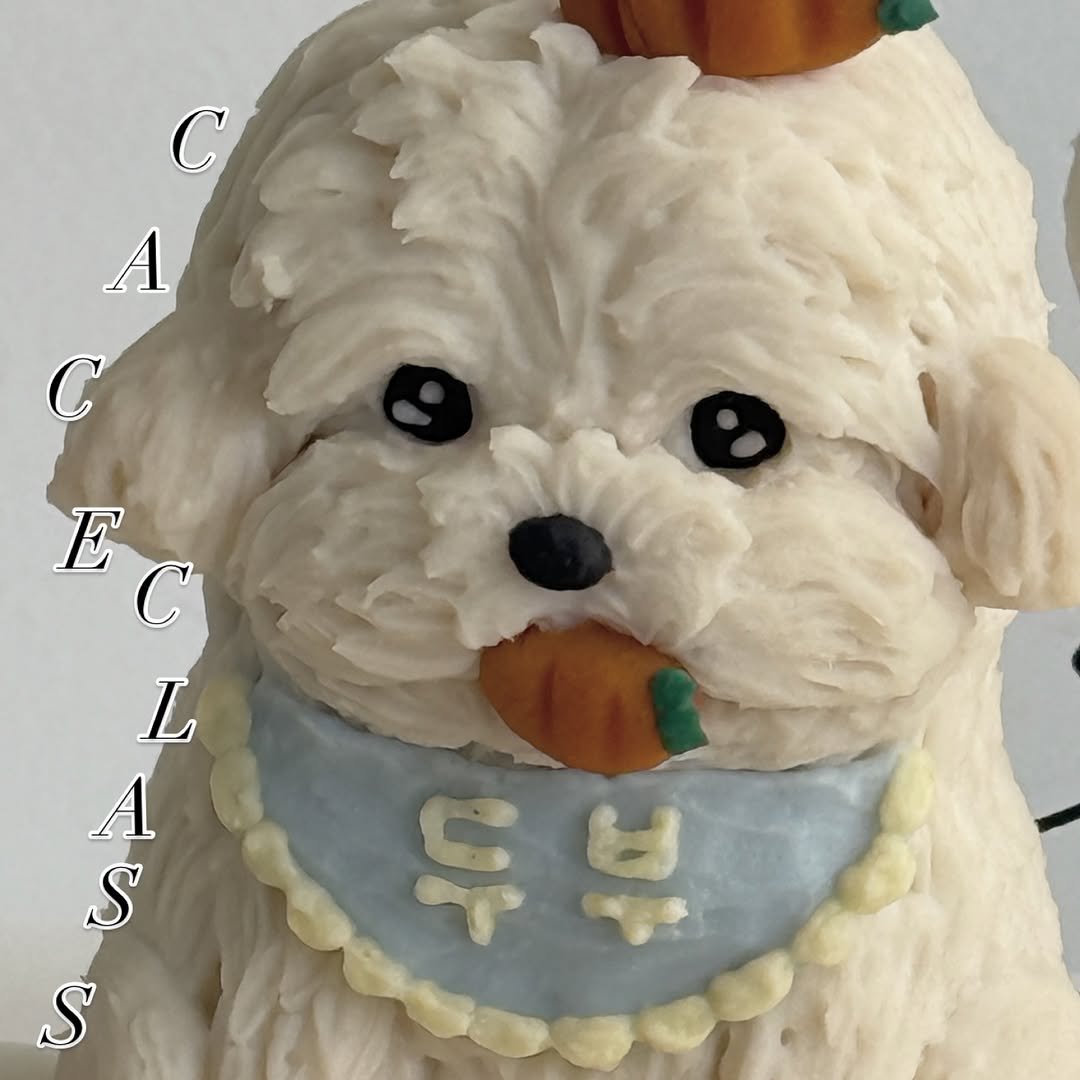 Photo shared by 앤디어 |강아지케이크  | 서울강아지케이크클래스 | 서울강아지케이크 on January 20, 2026 tagging @n.dear_ing. May be an image of cake, pie and text that says 'C A C E C L A S S ናር ለ0'.