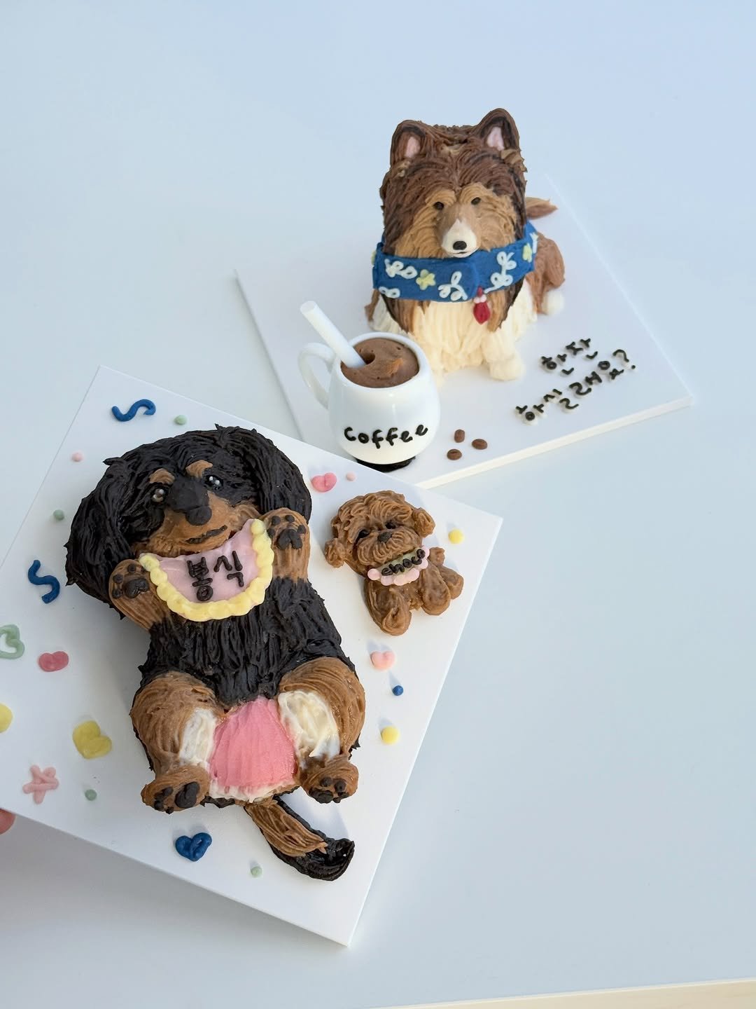 Photo shared by 앤디어 |강아지케이크  | 서울강아지케이크클래스 | 서울강아지케이크 on February 17, 2026 tagging @n.dear_ing. May be an image of whipped cream and text.