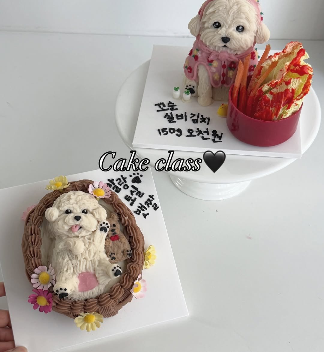 Photo shared by 앤디어 |강아지케이크  | 서울강아지케이크클래스 | 서울강아지케이크 on January 28, 2026 tagging @n.dear_ing. May be an image of Norwich terrier, cake, pie and text that says '꼬순 실비 실비김치 김치 1509 오천원 Cake Cakeclass class ស្ងដលផ្គួល ួស इૂત ฉืน'.