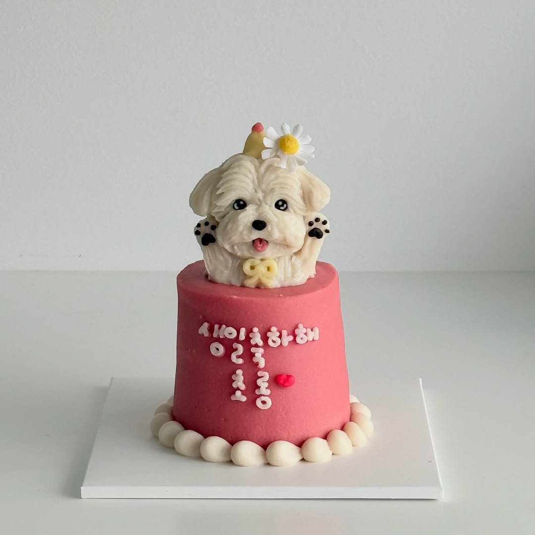 Photo by 앤디어 |강아지케이크  | 서울강아지케이크클래스 | 서울강아지케이크 on August 07, 2025. May be an image of Norwich terrier, cake and text.