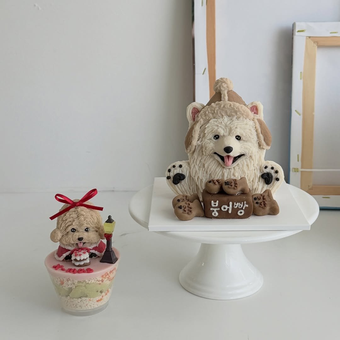 Photo shared by 앤디어 |강아지케이크  | 서울강아지케이크클래스 | 서울강아지케이크 on January 19, 2026 tagging @n.dear_ing. May be an image of Norwich terrier, cake, toy and text that says '붕 붕어빵 ఈ 어빠 바바 어'.