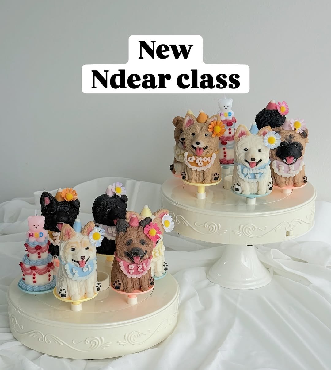 Photo shared by 앤디어 |강아지케이크  | 서울강아지케이크클래스 | 서울강아지케이크 on September 05, 2025 tagging @n.dear_ing.