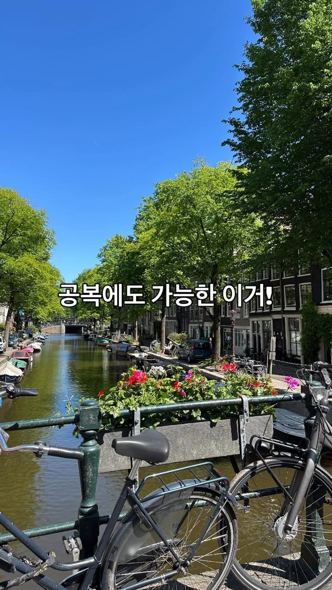 n_mijjjin_ 게시물 이미지: 간헐적 단식 열심히 하고 있을때
공복에도 고민이 되더라구요

단식을 깨는...