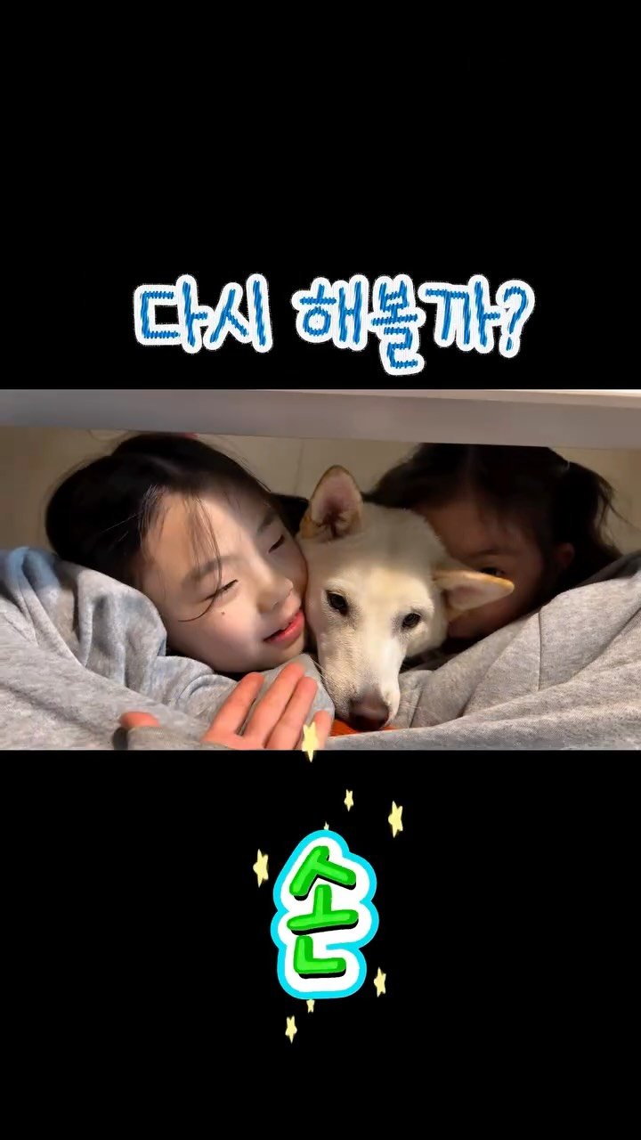 na__swane 게시물 이미지: 눈치는 이렇게 챙기는겁니다📌

🤣🤣🤣🤣🤣🤣🤣🤣

#강아지 #dog #일상 #kids #웃긴영상