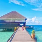 2brone 프로필 사진