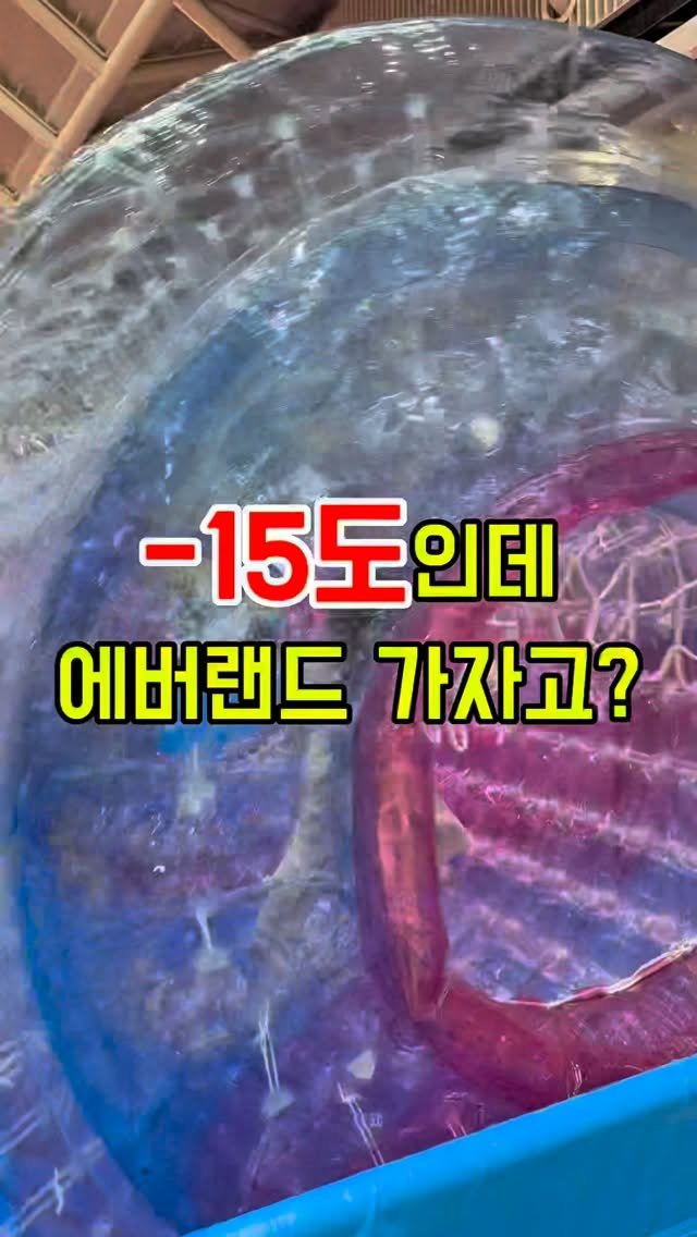 na__swane 게시물 이미지: 추워도 나가자고 난리인 우리 집 ‘에너자이저’들..😂
어디 갈지 고민이라면? 고민...