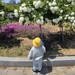 dogeon0901 프로필 사진