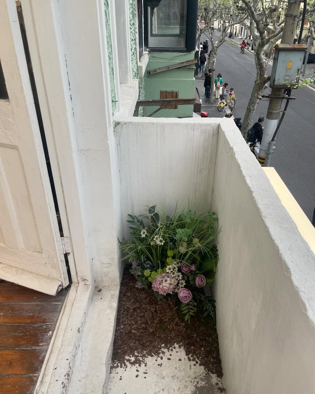 Photo by 공정현 on April 26, 2024.