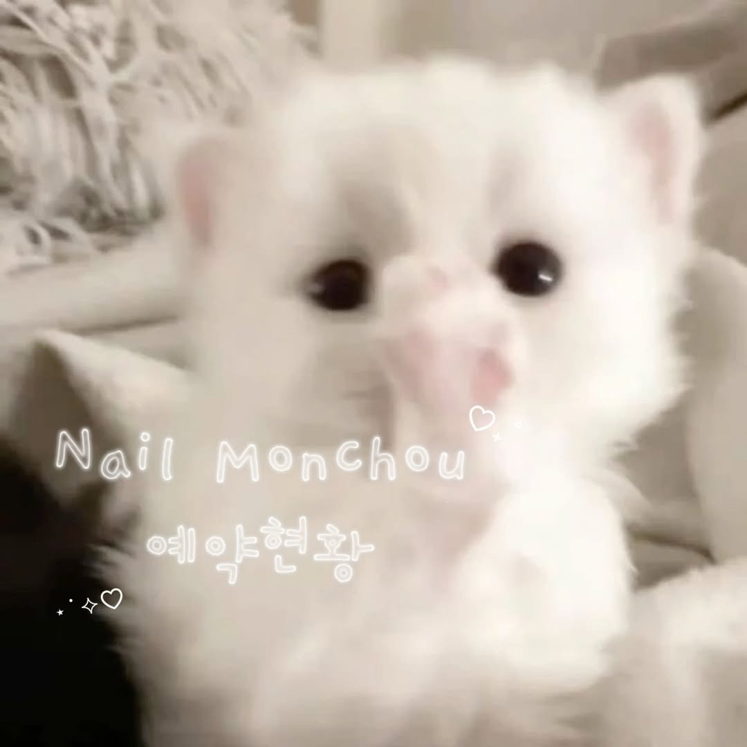 Photo by 인계동네일•수원네일•수원시청네일 | 네일몽슈 🦢🤍 in 인계동 나혜석거리. May be an image of one or more people, fingernails, ragdoll cat and text that says 'Nail Monchou ಅಪ। 약현황'.