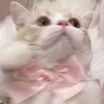 millie_nail_ 프로필 사진