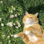 nail_aradise 프로필 사진