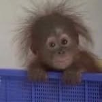 nailbeam 프로필 사진