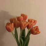 ode_jy 프로필 사진