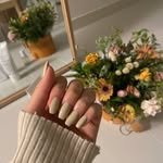 nail_mule 프로필 사진