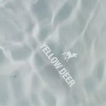 _yellowdeer_official 프로필 사진