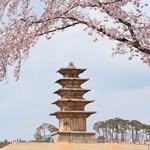 iksan_heritage 프로필 사진