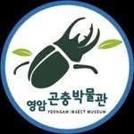 yeongam_insect 프로필 사진
