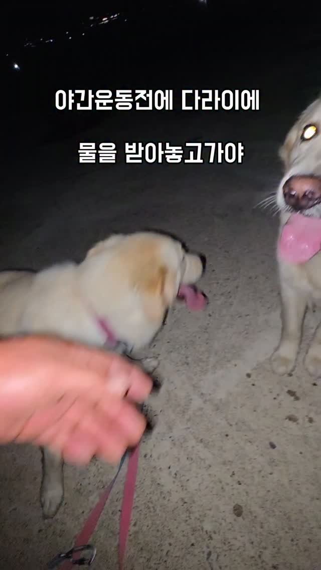 namhae_captain_park 게시물 이미지: 