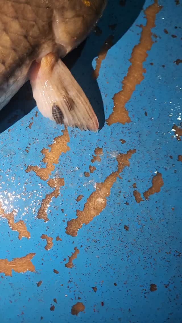 namhae_captain_park 게시물 이미지: 