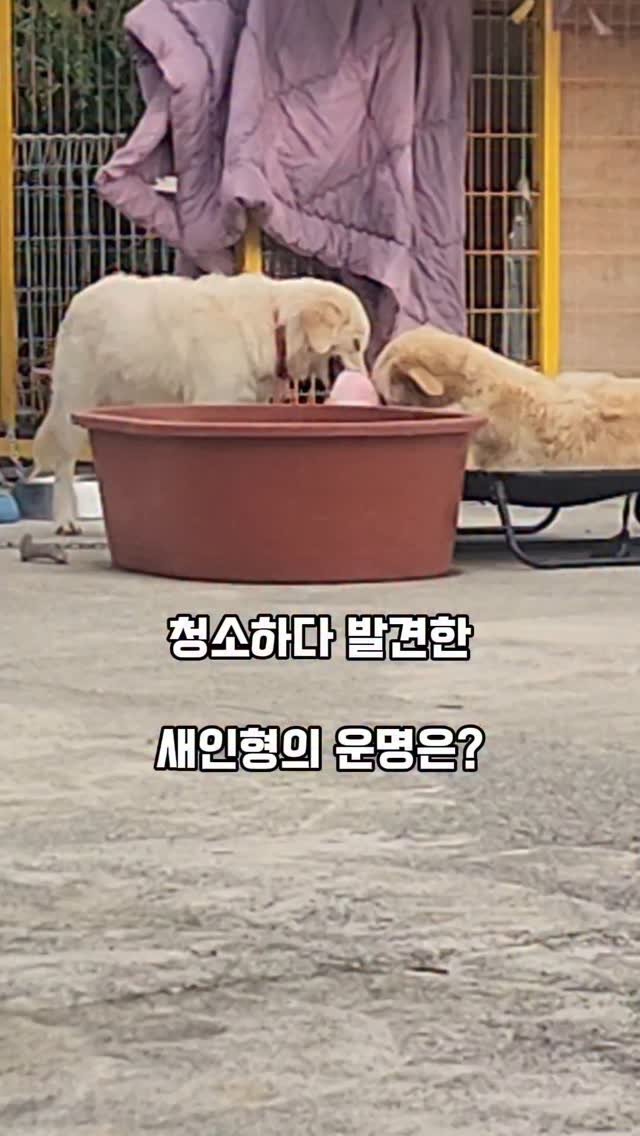 namhae_captain_park 게시물 이미지: