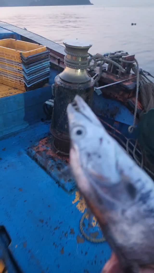 namhae_captain_park 게시물 이미지: 