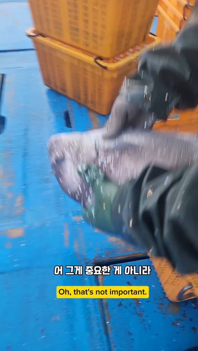 namhae_captain_park 게시물 이미지: