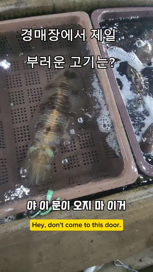namhae_captain_park 게시물 이미지: 