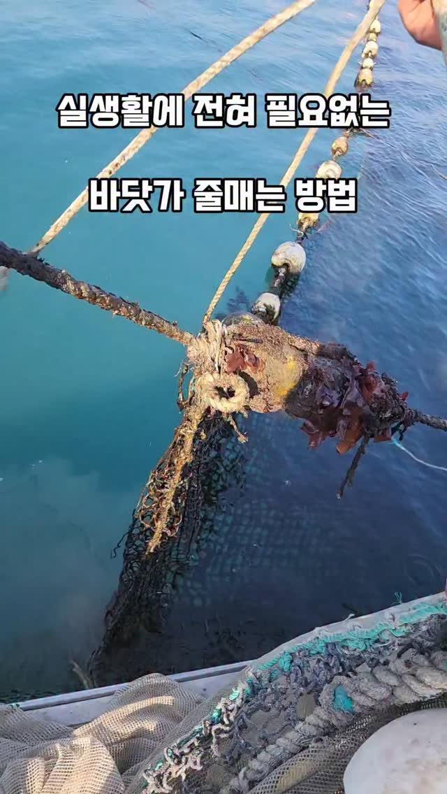 namhae_captain_park 게시물 이미지: 