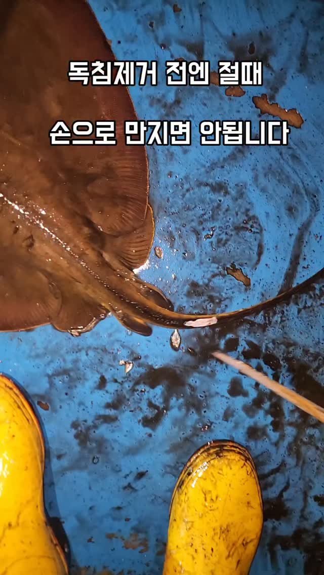 namhae_captain_park 게시물 이미지: 