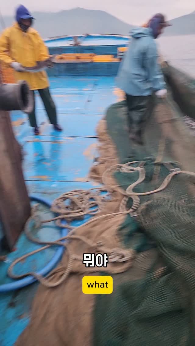 namhae_captain_park 게시물 이미지: 