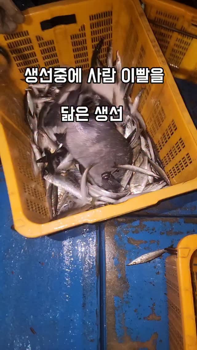 namhae_captain_park 게시물 이미지: 
