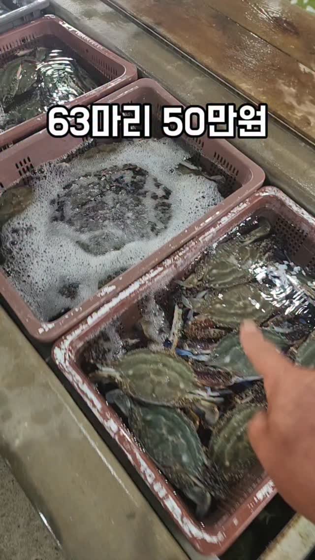 namhae_captain_park 게시물 이미지: 13일 토요일 5시입니다!!