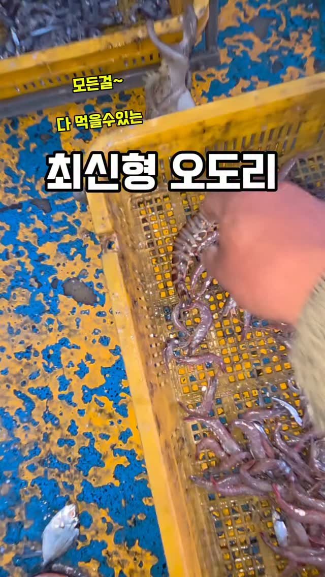 namhae_captain_park 게시물 이미지: 