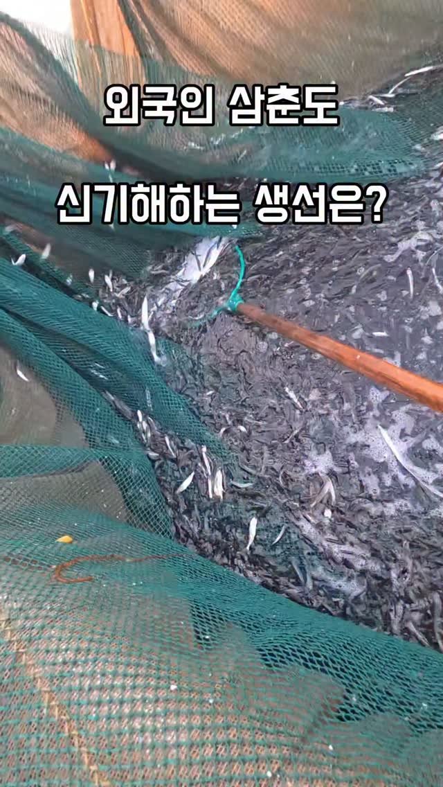 namhae_captain_park 게시물 이미지: 