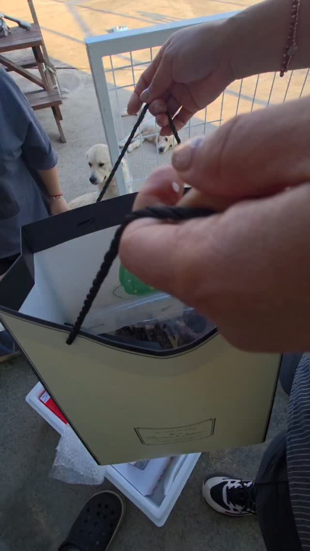 namhae_captain_park 게시물 이미지: 