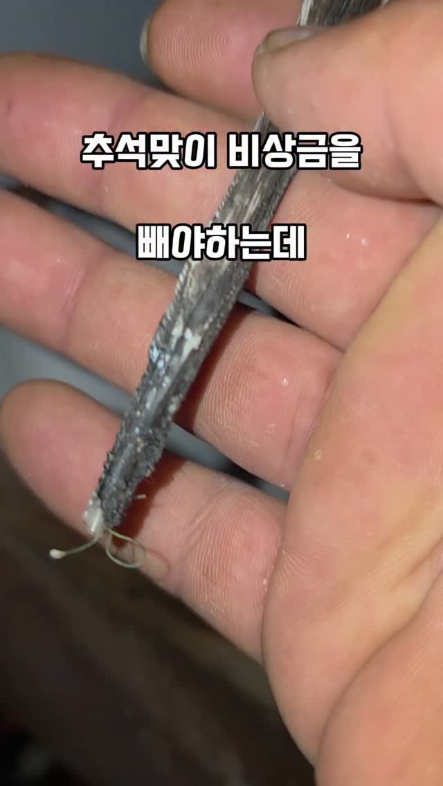 namhae_captain_park 게시물 이미지: 