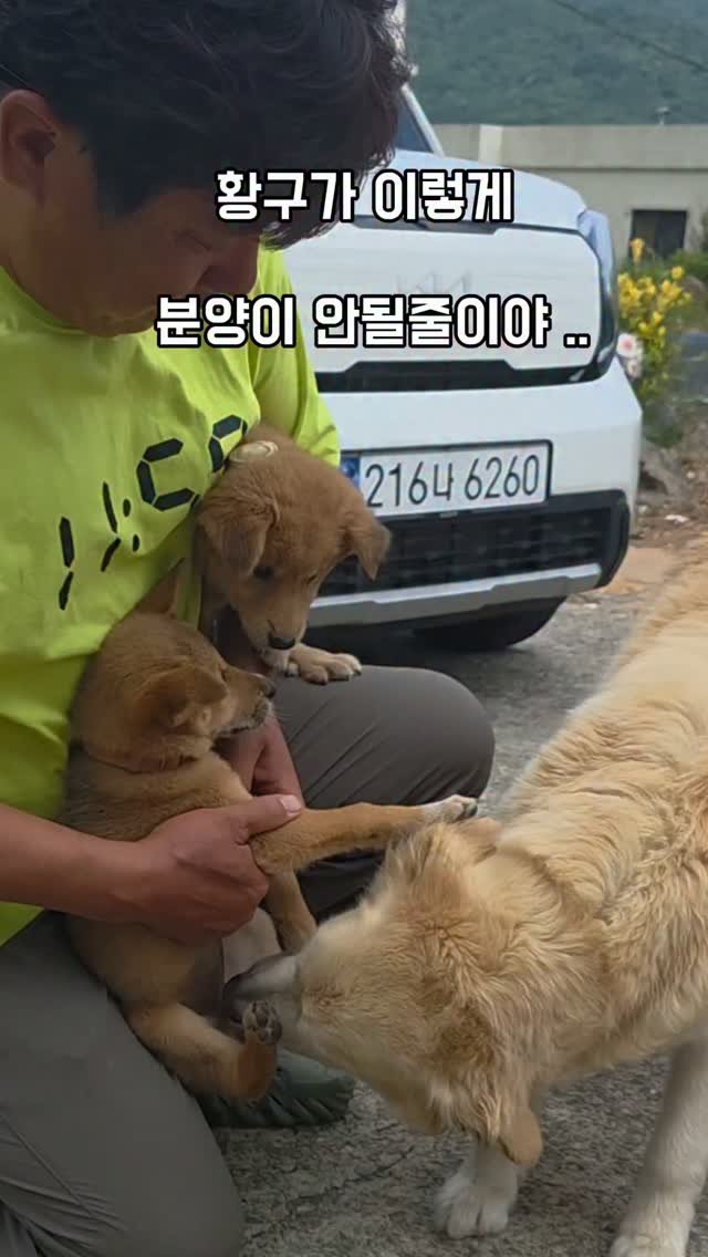 namhae_captain_park 게시물 이미지: 