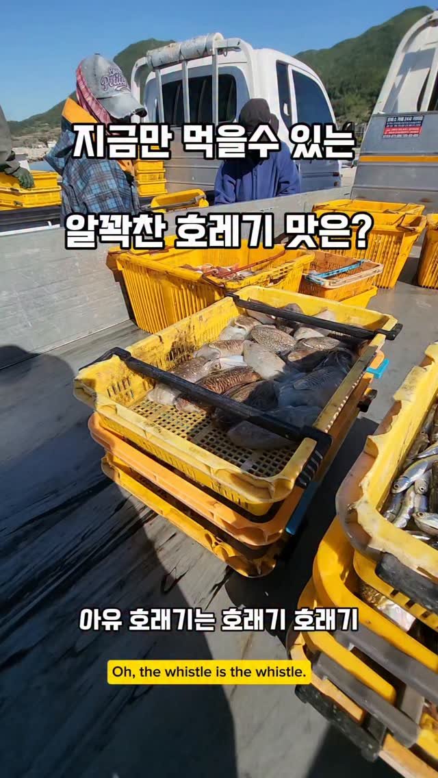 namhae_captain_park 게시물 이미지: 