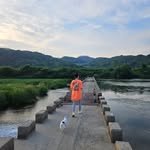 mumyungmumyung 프로필 사진