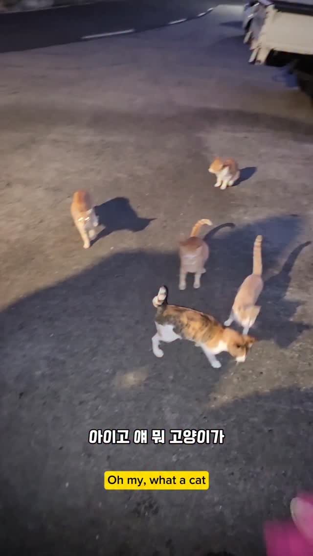 namhae_captain_park 게시물 이미지: 