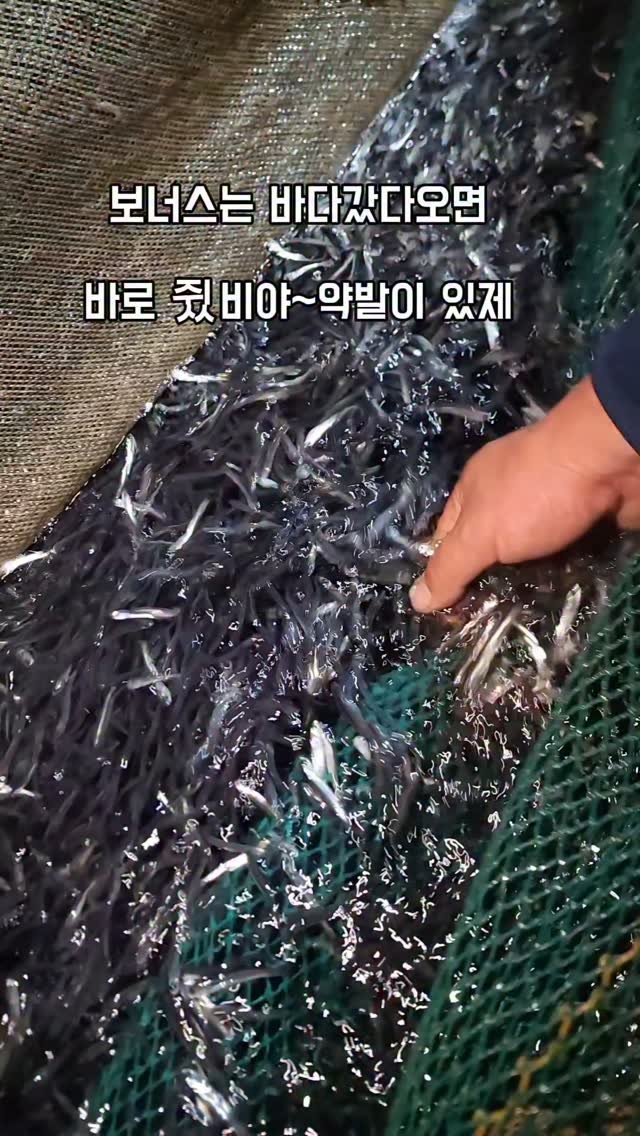 namhae_captain_park 게시물 이미지: 