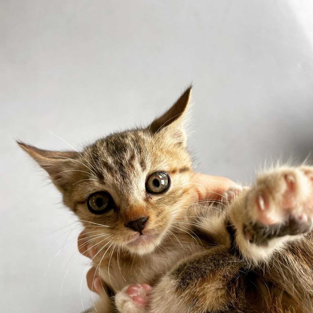 Photo by 남해서울농장 on October 19, 2024.